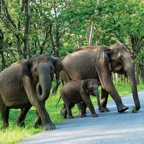 listing-details-carousel