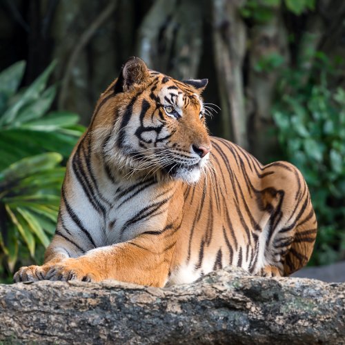 listing-details-carousel