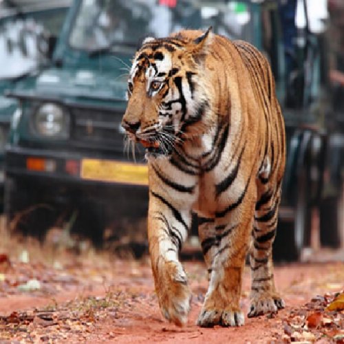 listing-details-carousel