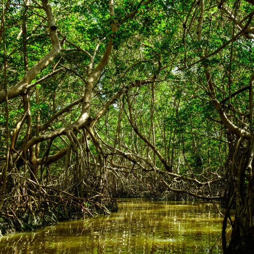 listing-details-carousel